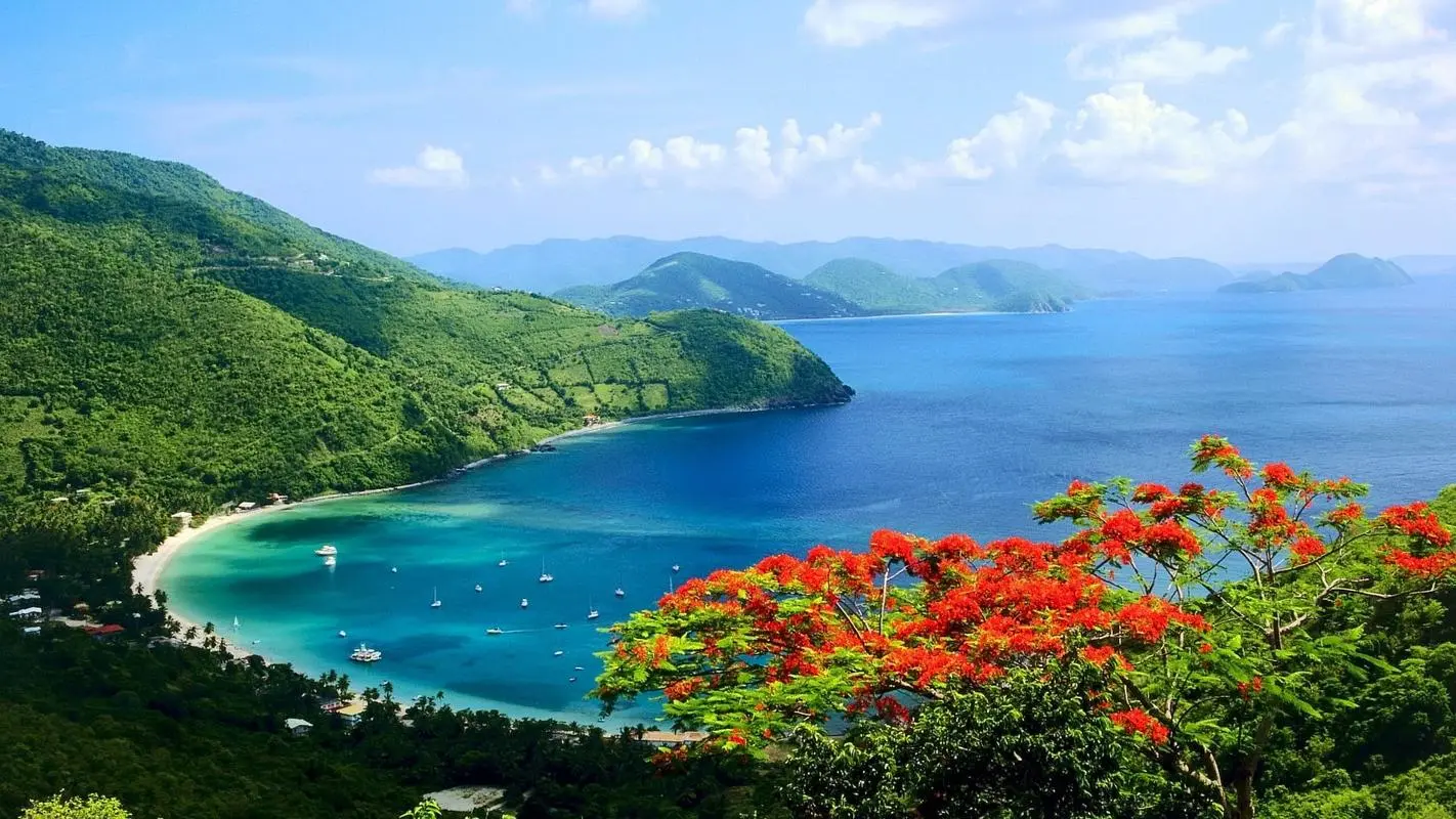创意可靠性创意